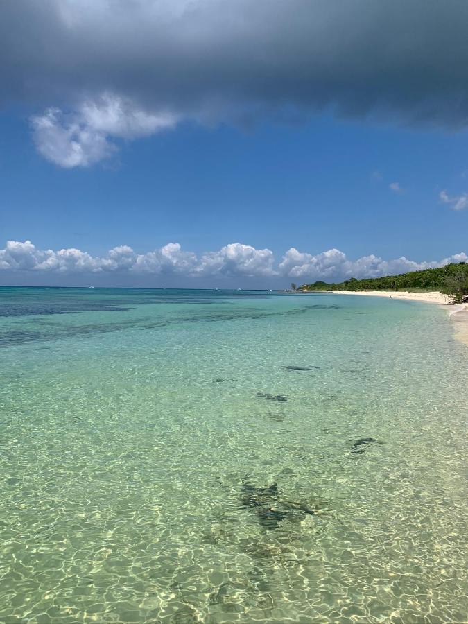 Coco Cozy Apartment Centric And Private Cozumel Zewnętrze zdjęcie